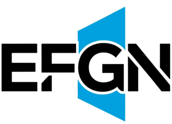 efgnsoluciones.com